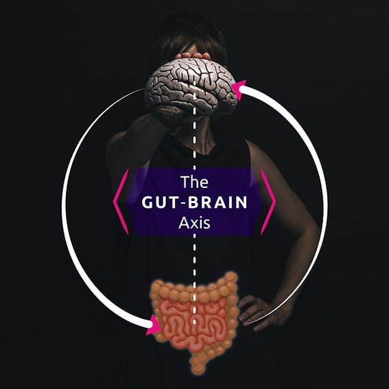 Gut-Brain Axis bij The ARTIST van focusnutritions.com